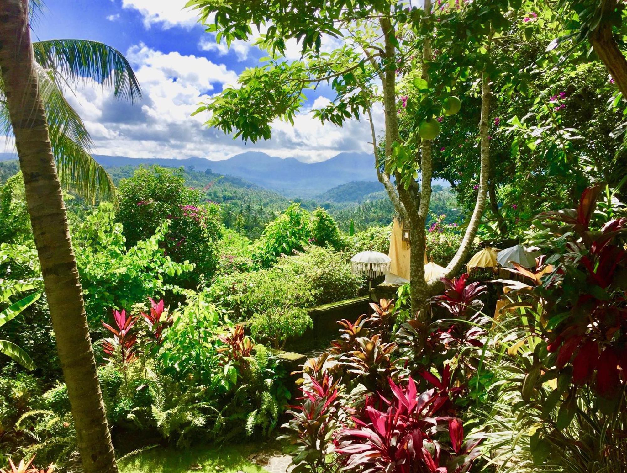 Gunung Paradis Retreat Villa Munduk